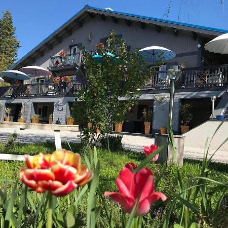 L'Alpen Roc Bed & Breakfast Caille Dış mekan fotoğraf
